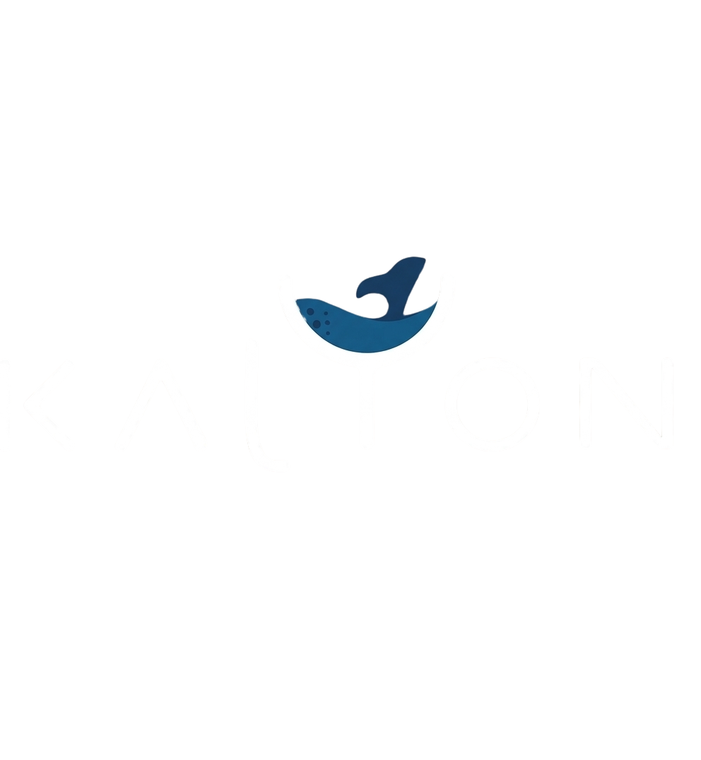 Kalyon Balık Logo